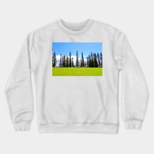 Lanai City Study 7 Crewneck Sweatshirt